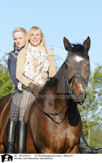 Frauen mit Bayerischem Warmblut / women and Bavarian warmblood / AP-07911