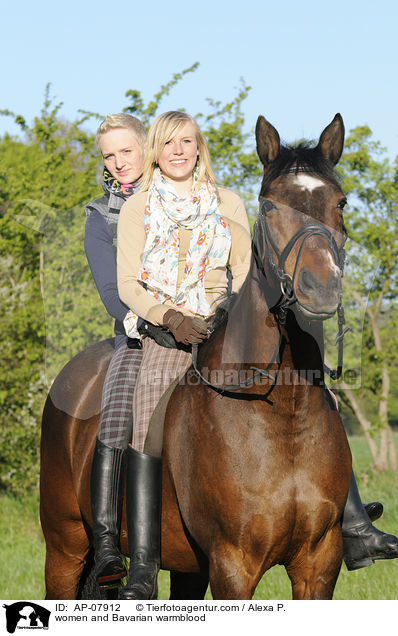 Frauen mit Bayerischem Warmblut / women and Bavarian warmblood / AP-07912