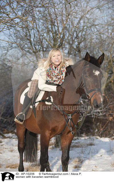 woman with bavarian warmblood / AP-10206