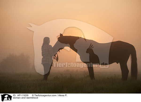 woman and warmblood / AP-11839