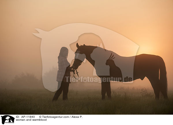 Frau und Brandenburger / woman and warmblood / AP-11840