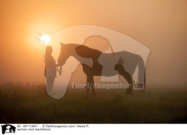 Frau und Brandenburger / woman and warmblood / AP-11841