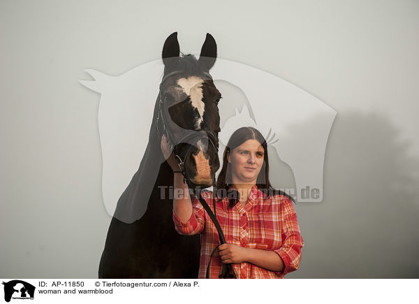 Frau und Brandenburger / woman and warmblood / AP-11850
