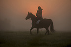 woman rides warmblood