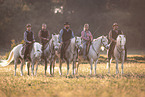 Camarguehorses