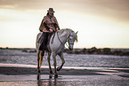Camargue Horse