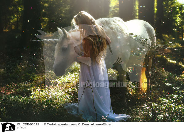 Einhorn / unicorn / CDE-03019