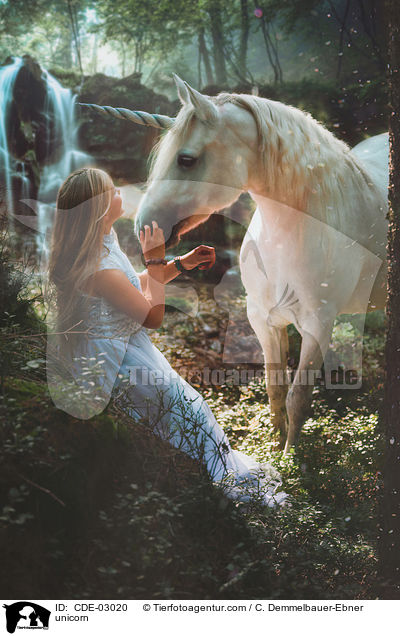 Einhorn / unicorn / CDE-03020