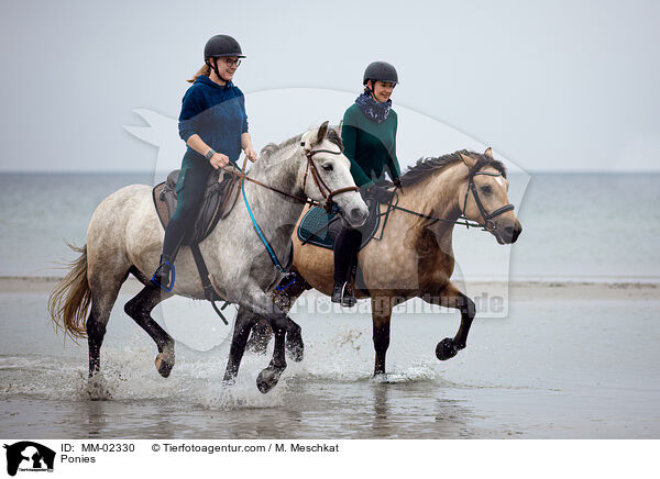 Ponies / Ponies / MM-02330