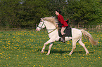 woman rides Connemara-Pony