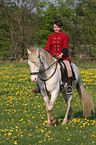 woman rides Connemara-Pony