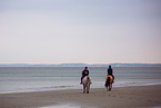 Ponies