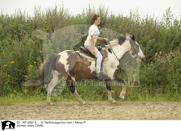 Frau reitet Criollo / woman rides Criollo / AP-08813