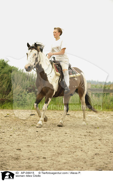 Frau reitet Criollo / woman rides Criollo / AP-08815