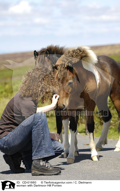 Frau mit Dartmoor Hill Ponies / woman with Dartmoor Hill Ponies / CD-01660