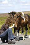 woman with Dartmoor Hill Ponies