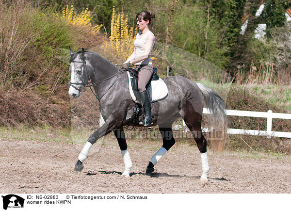 Frau reitet KWPN / woman rides KWPN / NS-02883