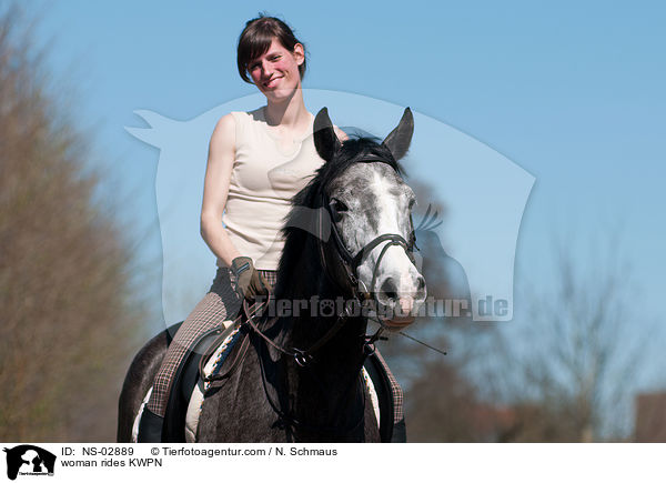 Frau reitet KWPN / woman rides KWPN / NS-02889