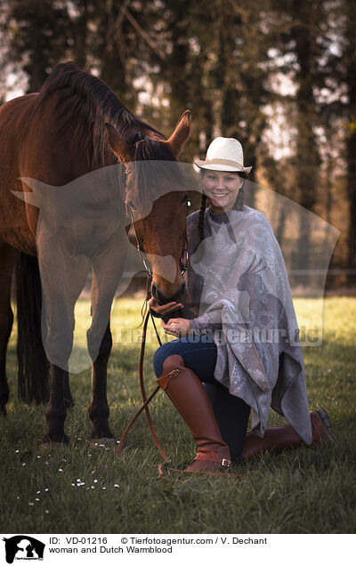 Frau und KWPN / woman and Dutch Warmblood / VD-01216