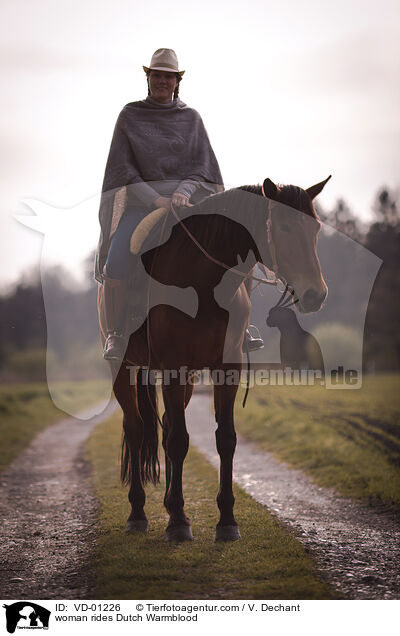 Frau reitet KWPN / woman rides Dutch Warmblood / VD-01226