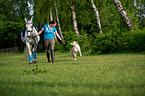 woman with horse and dog