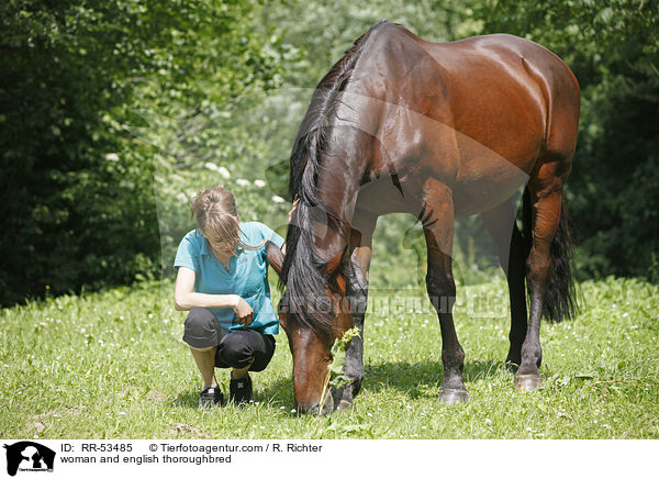 Frau und Englisches Vollblut / woman and english thoroughbred / RR-53485