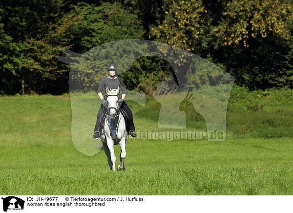 Frau reitet Englisches Vollblut / woman rides english thoroughbred / JH-19677