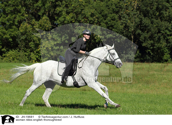Frau reitet Englisches Vollblut / woman rides english thoroughbred / JH-19681