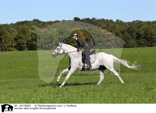 Frau reitet Englisches Vollblut / woman rides english thoroughbred / JH-19682