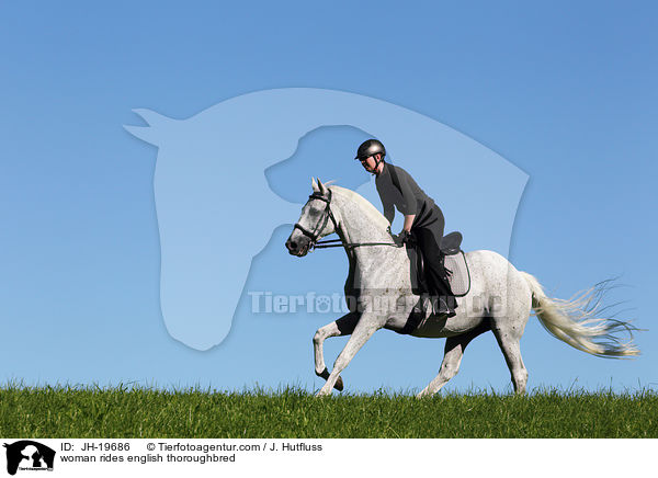Frau reitet Englisches Vollblut / woman rides english thoroughbred / JH-19686