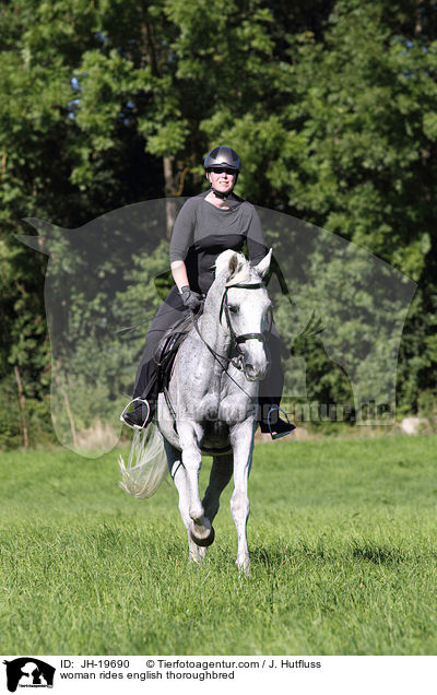 woman rides english thoroughbred / JH-19690