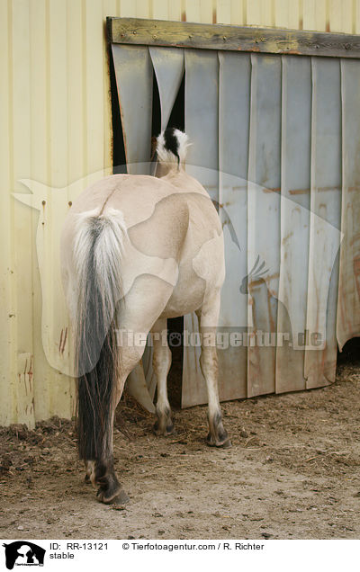 stable / RR-13121