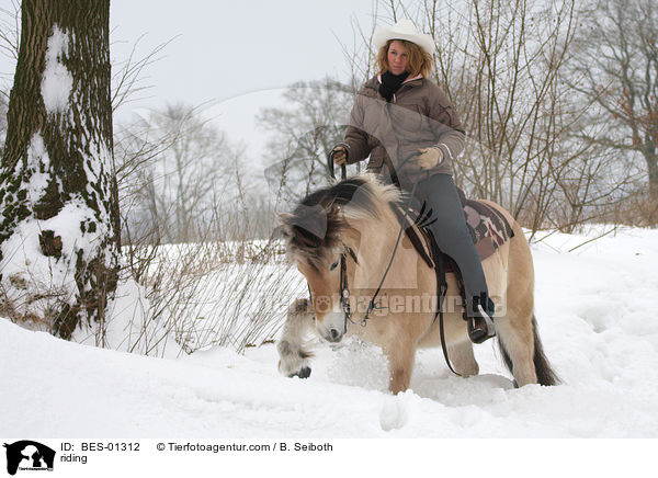 riding / BES-01312