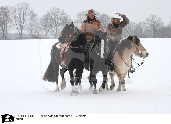 riding / BES-01318