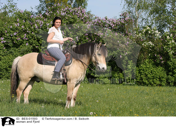 woman and Fjord / BES-01593