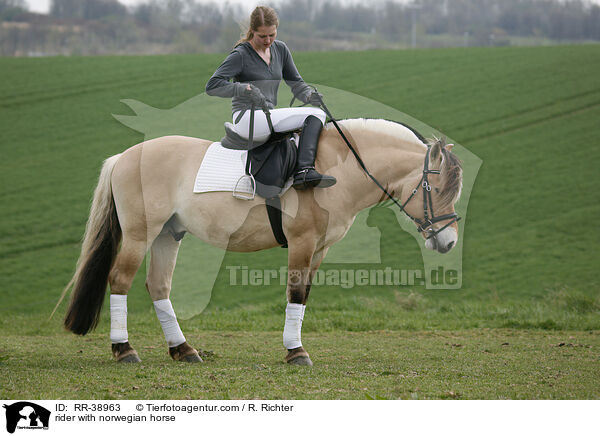 Reiterin auf Fjordpferd / rider with norwegian horse / RR-38963