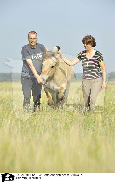 Paar mit Fjordpferd / pair with Fjordpferd / AP-09142