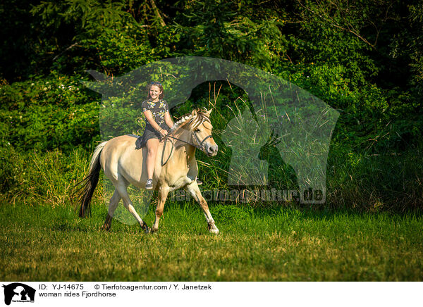 Frau reitet Fjordpferd / woman rides Fjordhorse / YJ-14675