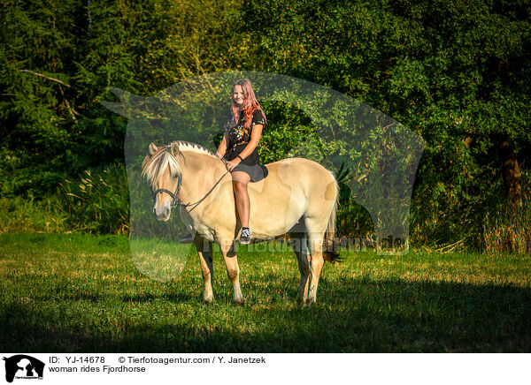 Frau reitet Fjordpferd / woman rides Fjordhorse / YJ-14678