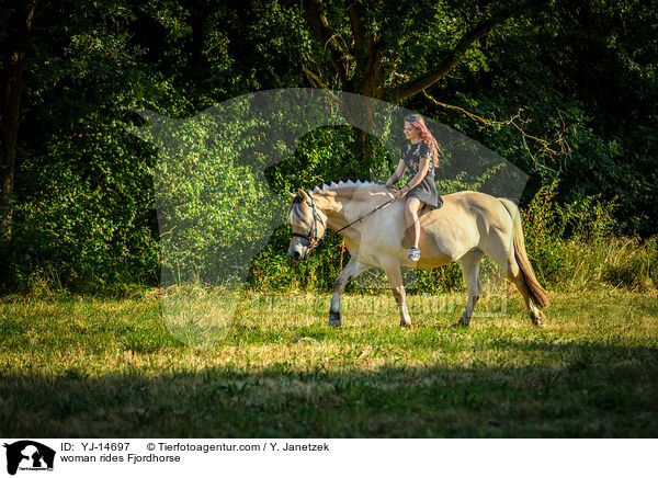 Frau reitet Fjordpferd / woman rides Fjordhorse / YJ-14697
