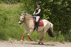 horsewoman