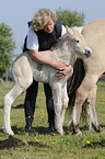 woman with Fjord foal