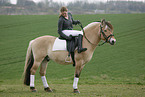 rider with norwegian horse