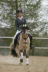 rider with norwegian horse