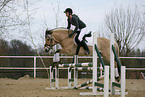 rider with norwegian horse