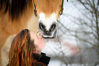 Norwegian Fjord Horse in snow