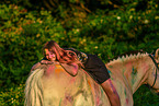 woman and Fjordhorse