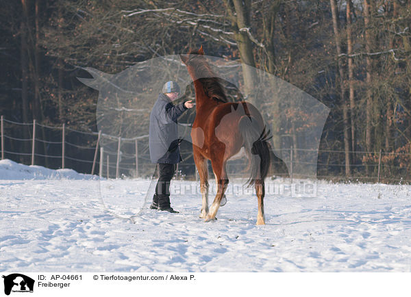 Freiberger / Freiberger / AP-04661