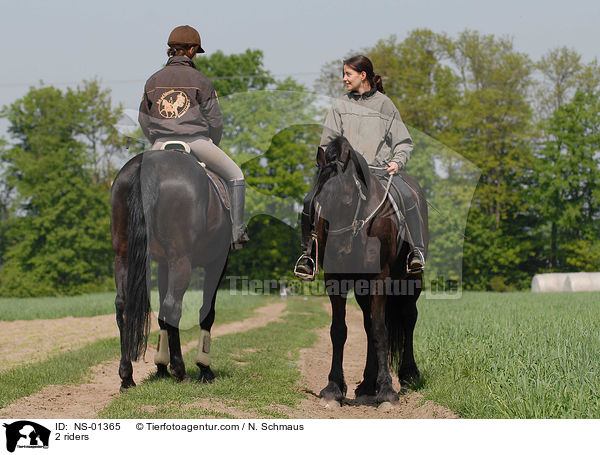 2 Reiter / 2 riders / NS-01365