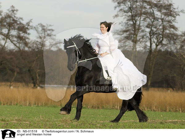 Engel und Friese / angel and friesian horse / NS-01518